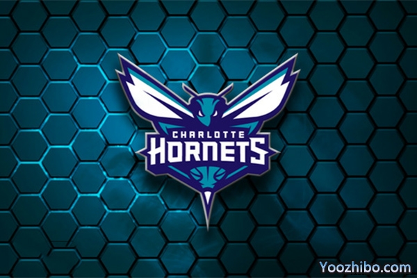 2019-2020赛季<a href=/lanqiujingsai/hornets/ target=_blank class=infotextkey>黄蜂</a>队队徽